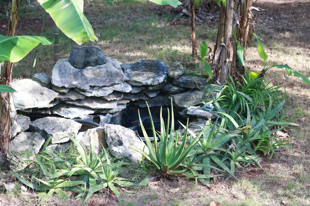 The Sugar Apple Lodging Dunmore Town المظهر الخارجي الصورة