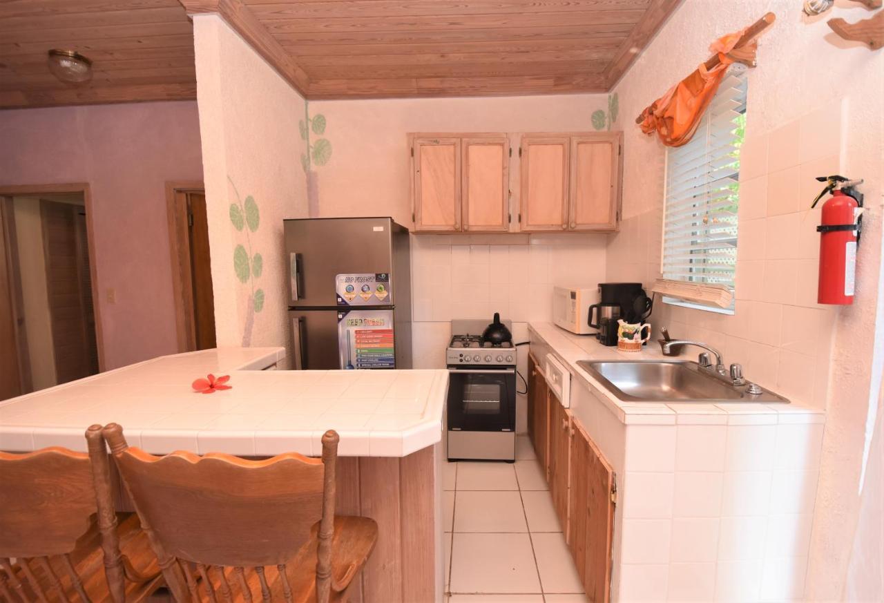 The Sugar Apple Lodging Dunmore Town المظهر الخارجي الصورة